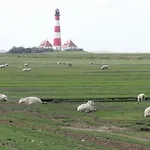 Apartamento Deichgans - Haus Loreley Sankt Peter-Ording
